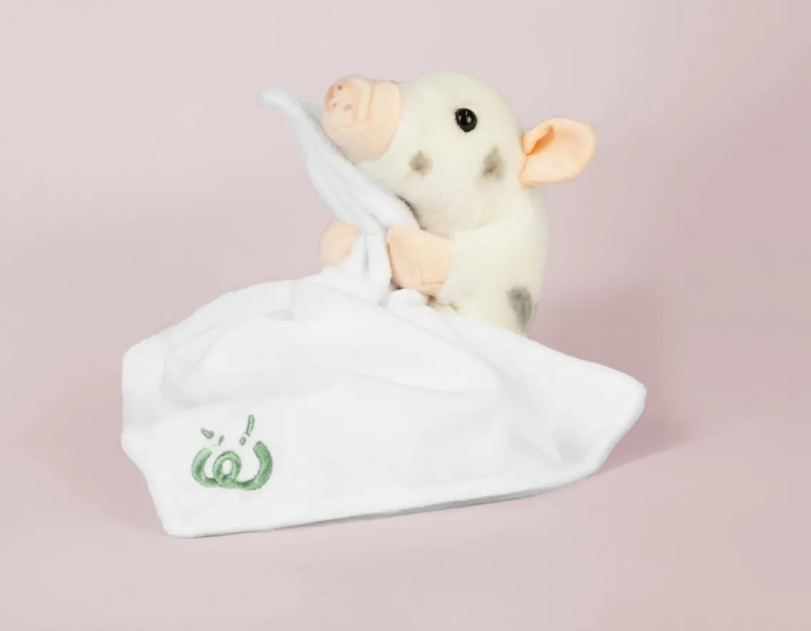 Exclusive To Wicked Uncle|Sensory-Living Nature Baby Piglet with Blanket - Gift Box