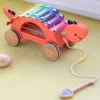 Dinosaurs|Wooden Toys-Classic World Dinosaur Xylophone - Wooden Pull Along