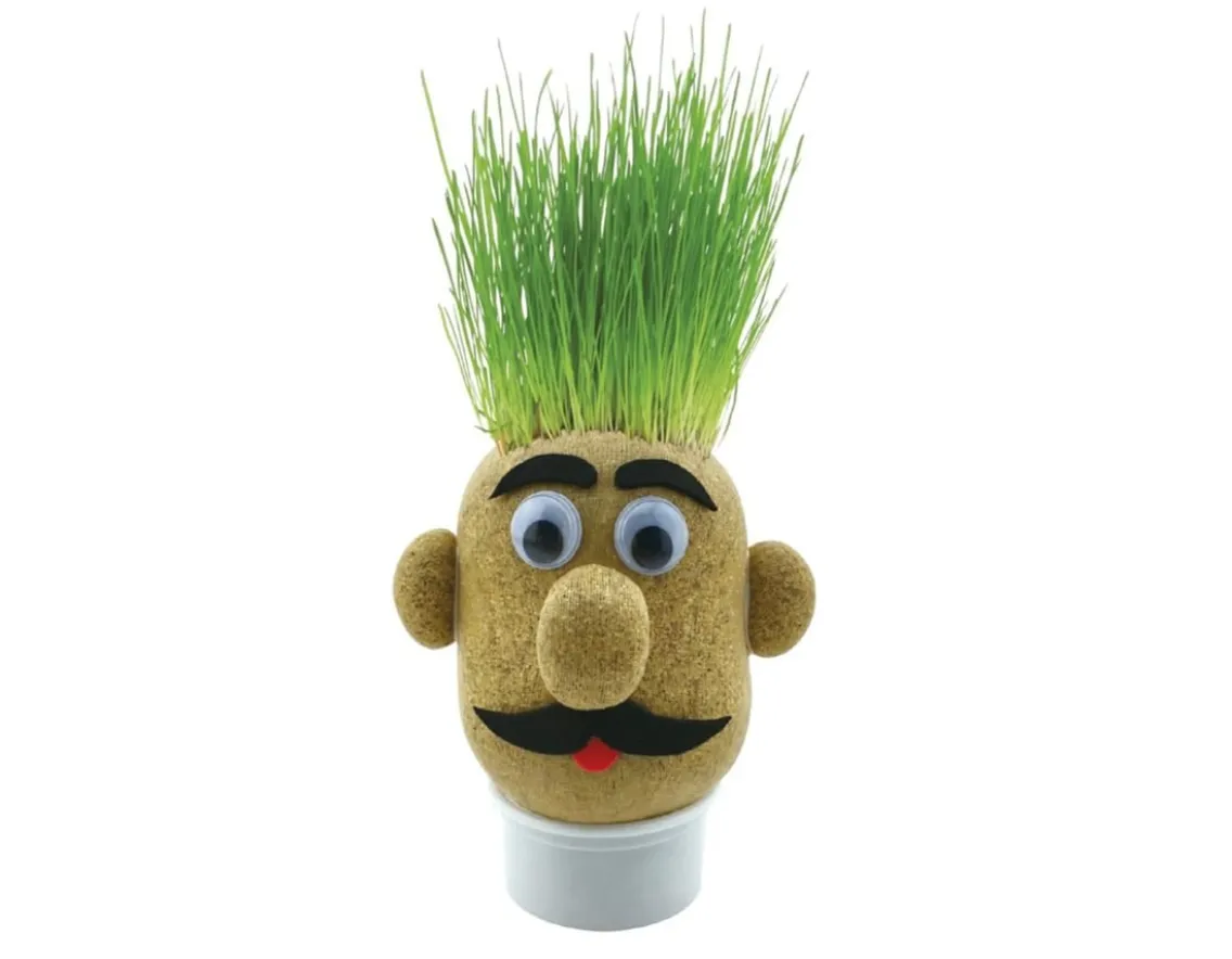 Creativity|Wicked Fun-Funtime Gifts Grass Head - Grow Your Own