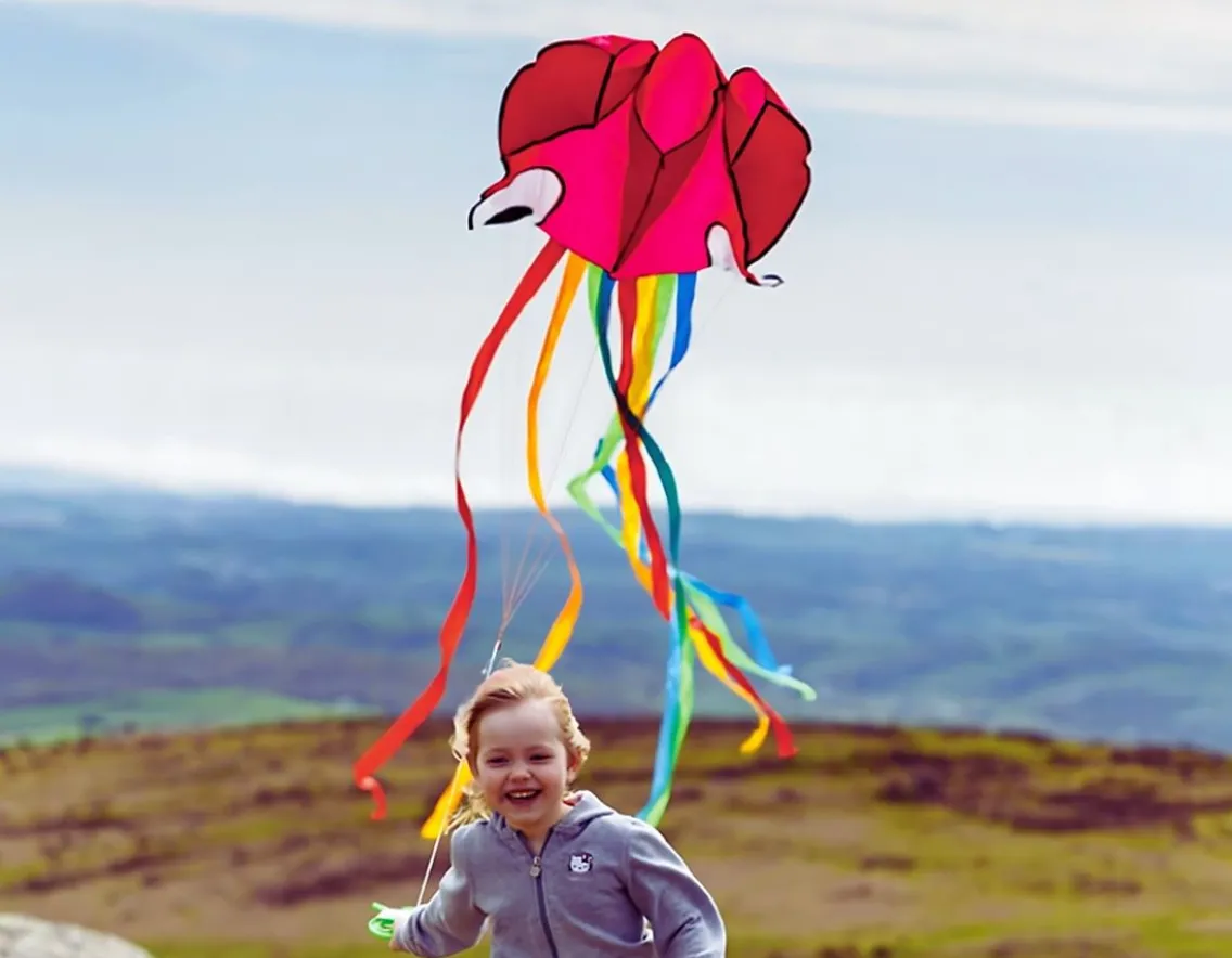 Outdoorsy|Wicked Fun-House of Marbles Jumbo Octopus Kite - 4 Metres Long