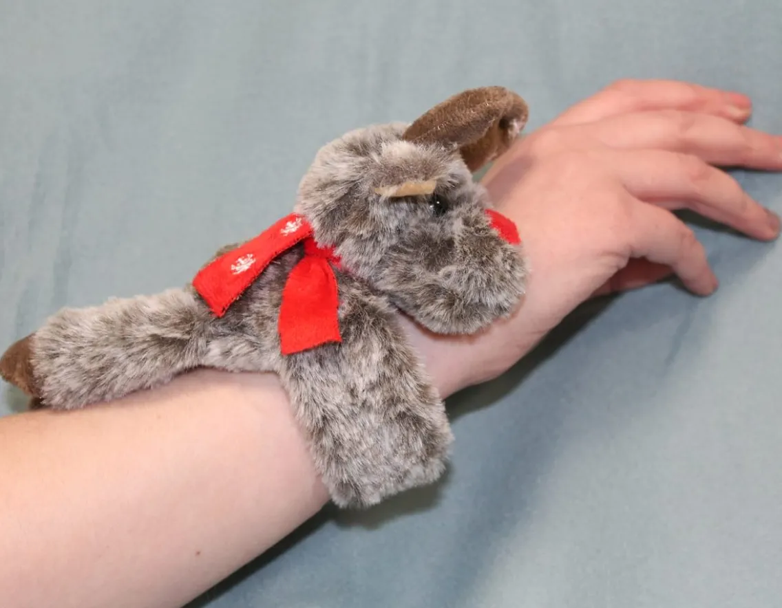 Games|Sensory-Wonderbox Reindeer Returns Home - Snap & Snuggle