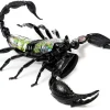 Creativity|Educational-Thames and Kosmos Scorpion Anatomy 3D Model - 29 Pieces